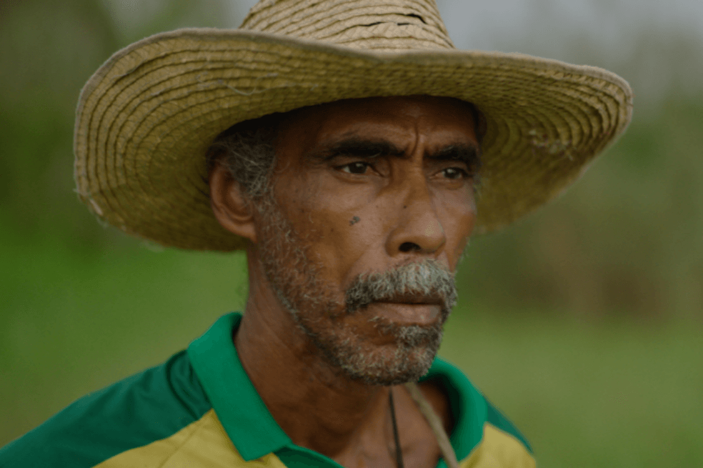 El hombre, su imagen dorada (IV)