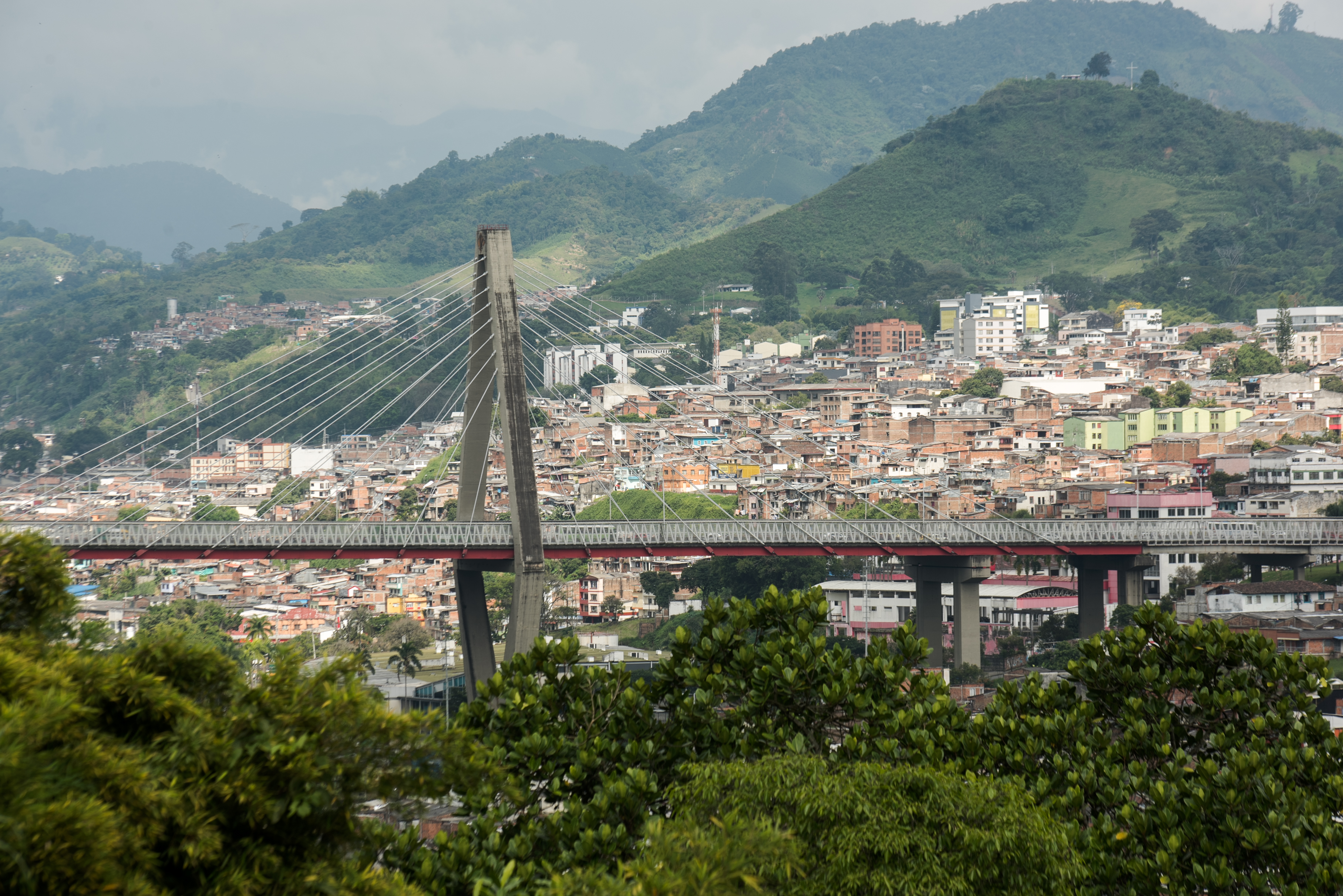Prográmese para asistir a las Fiestas de la Cosecha 2024 en Pereira