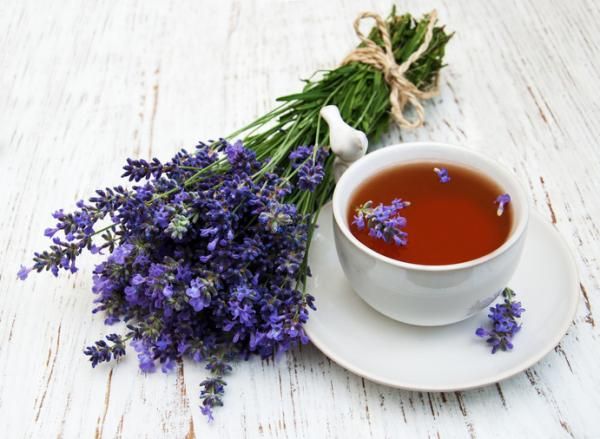 ¿Para qué sirve la Valeriana? Propiedades y consejos para el cuidado de la planta