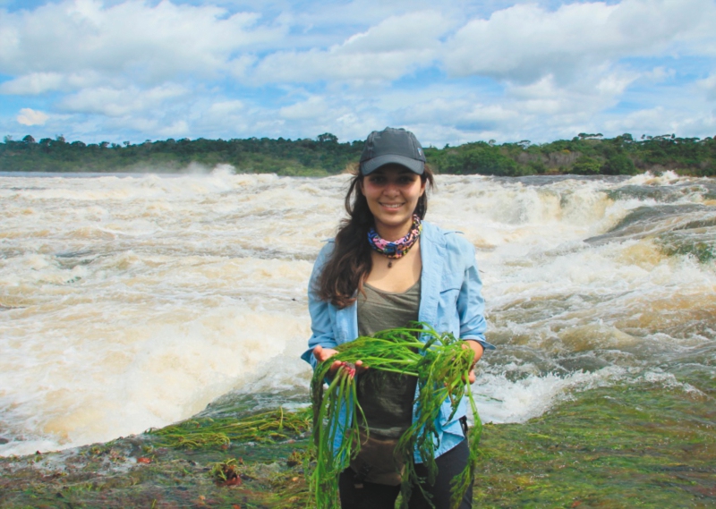 Las plantas que esconden en su ADN los cambios de los ríos de Colombia