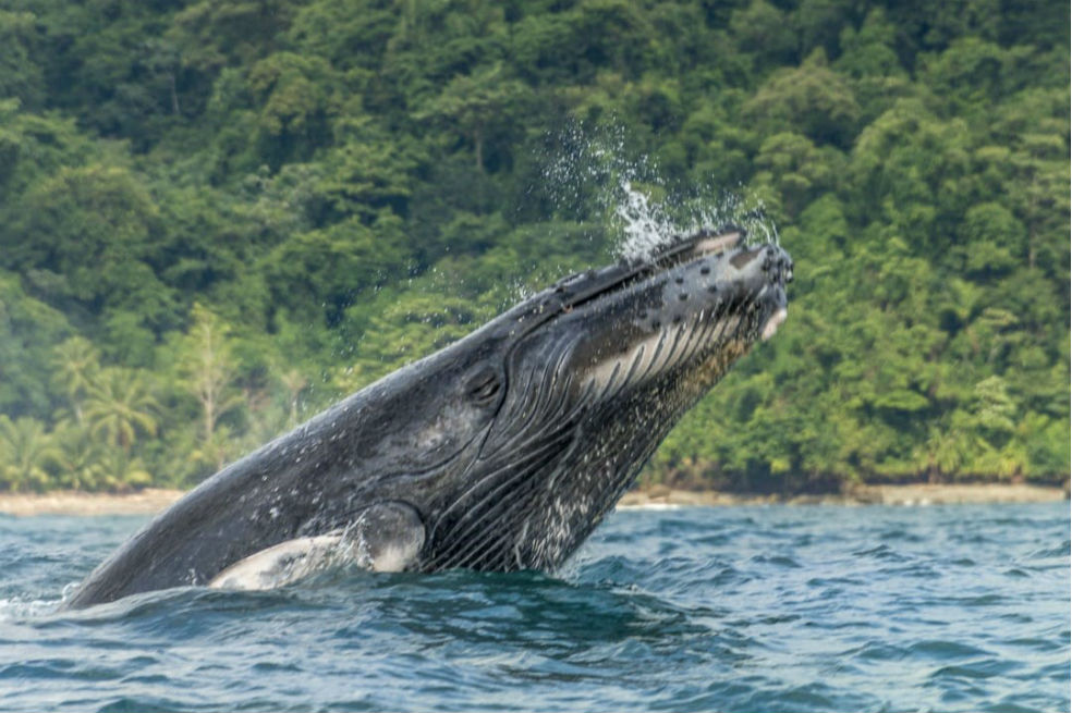 Parques Nacionales abre su primer concurso de fotografía de naturaleza