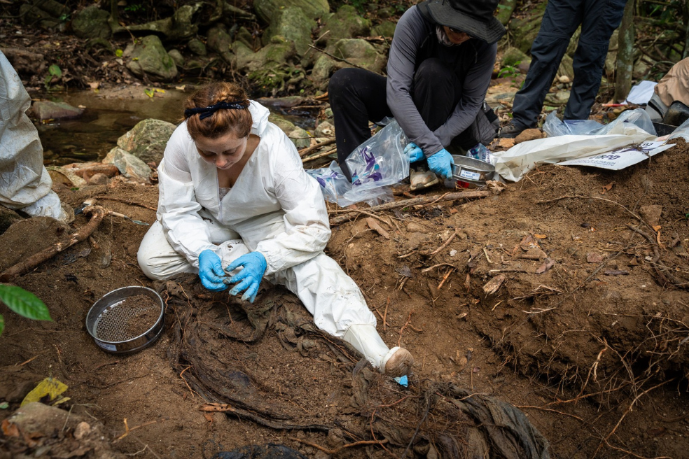 Así buscan a los desaparecidos en medio de la guerra en la Sierra Nevada de Santa Marta