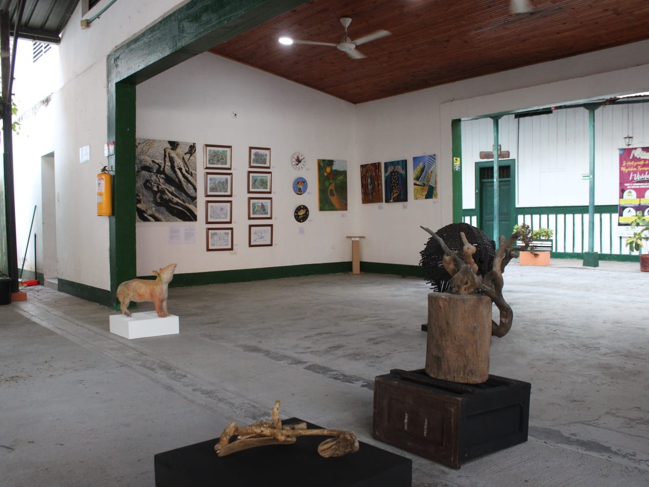 Arte para salvar al bagre rayado: el proyecto que une al legado de Gabo con la conservación