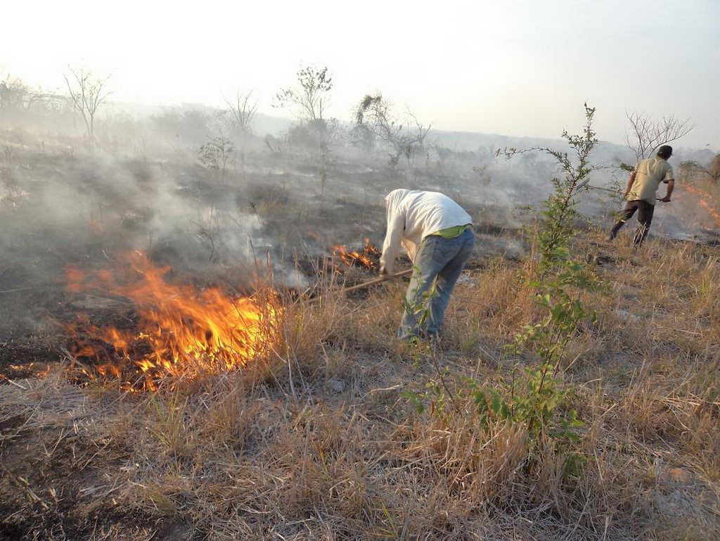 Se activa incendio forestal en los Cerros Orientales de Bogotá
