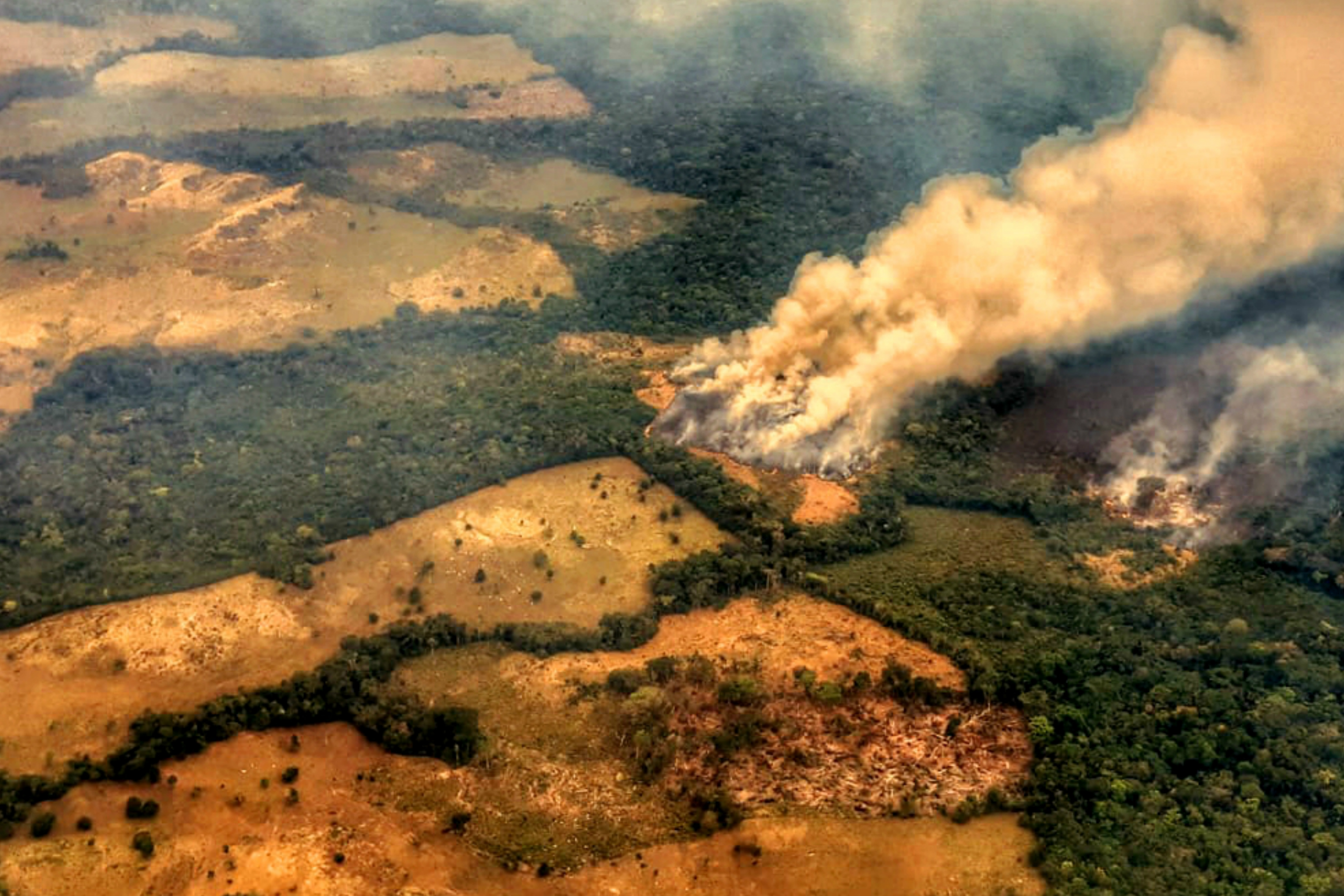 «Colombia no cuenta con una política de prevención de incendios forestales»: Mauricio Toro