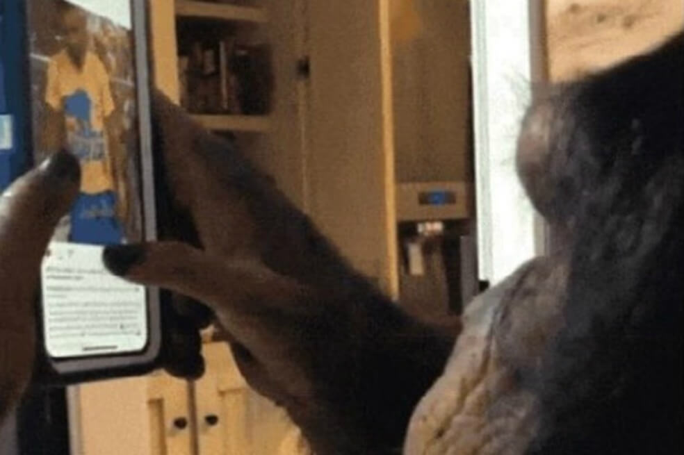 ¿Por qué sorprende el video de un chimpancé usando Instagram con naturalidad?