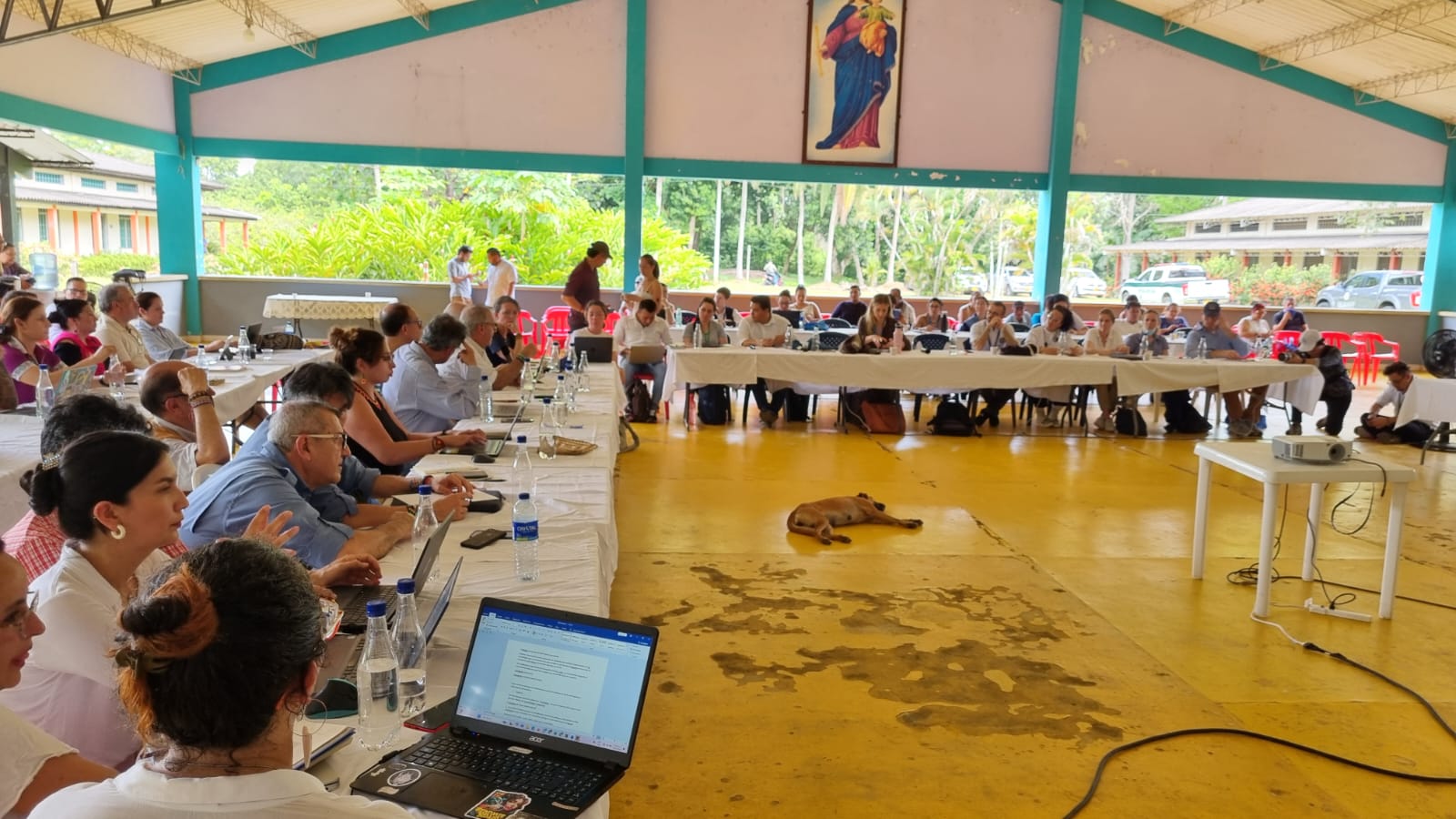 La reunión de Gobierno, campesinos y disidencias de FARC para frenar tala de árboles