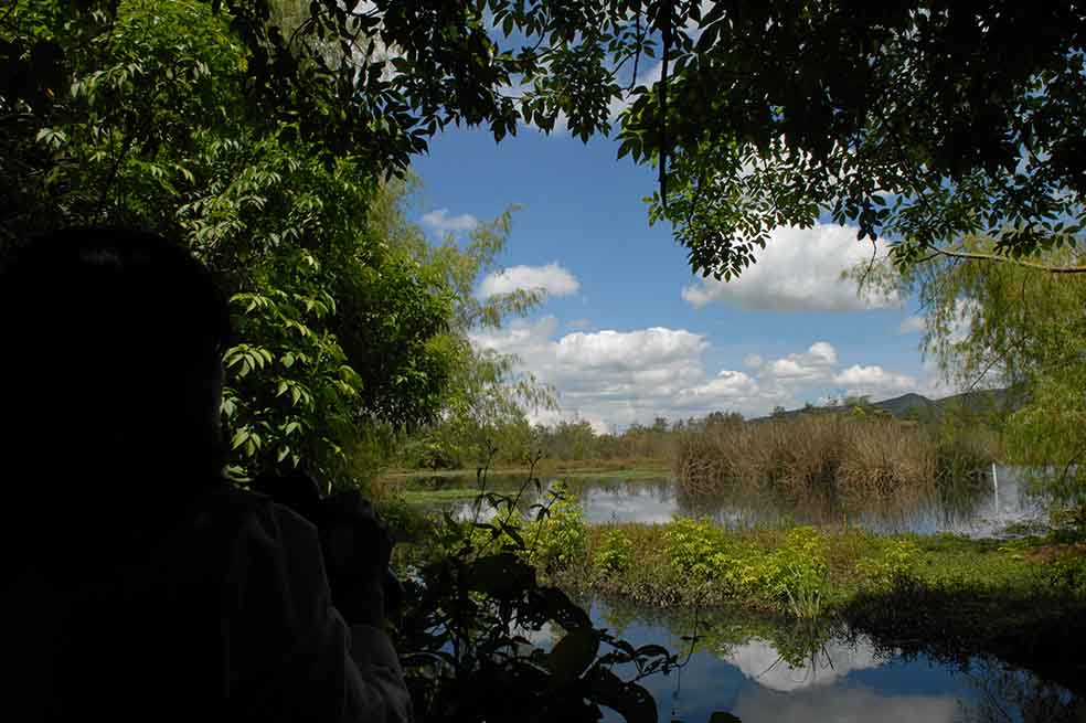 Consejo de Estado ordena medidas de protección para el humedal La Conejera
