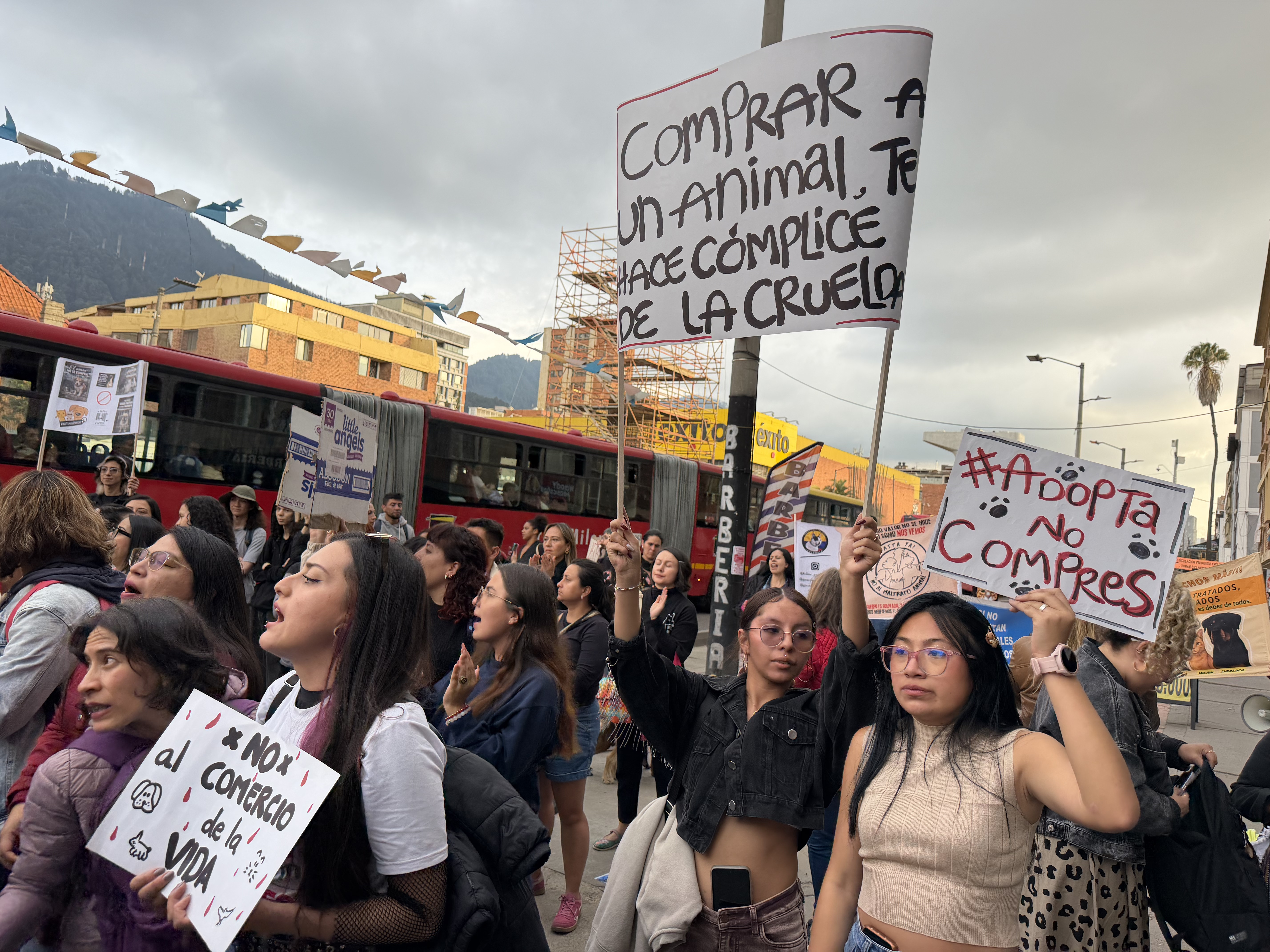 “No son mercancía”: protesta contra tiendas de animales en la Caracas tras nueva denuncia