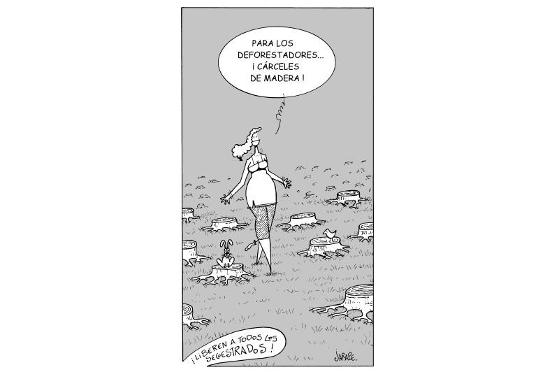 Cándida
