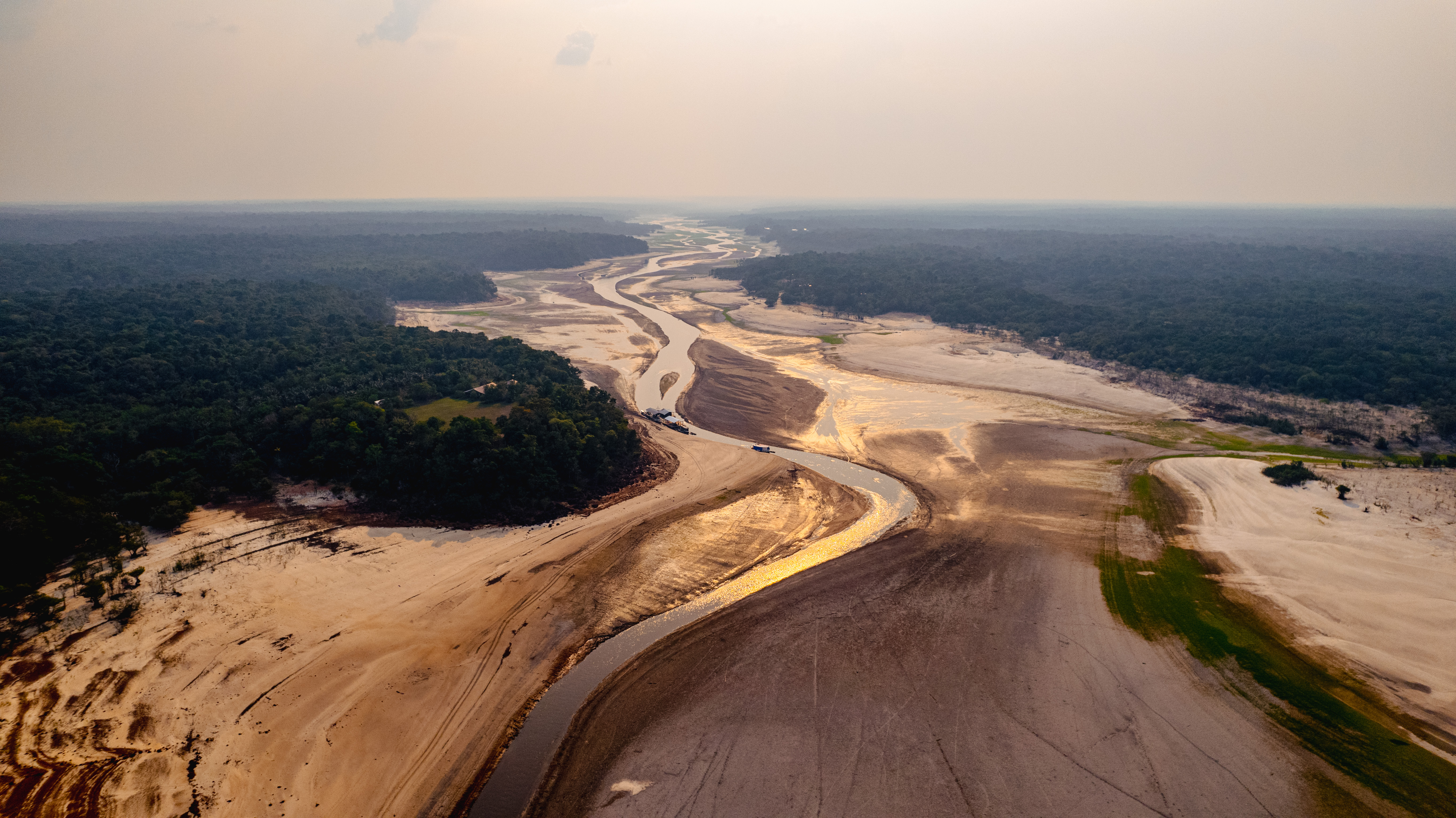 Ecosistemas acuáticos, los más afectados en los últimos 50 años