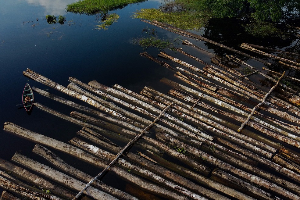 Deforestación en la Amazonía brasileña