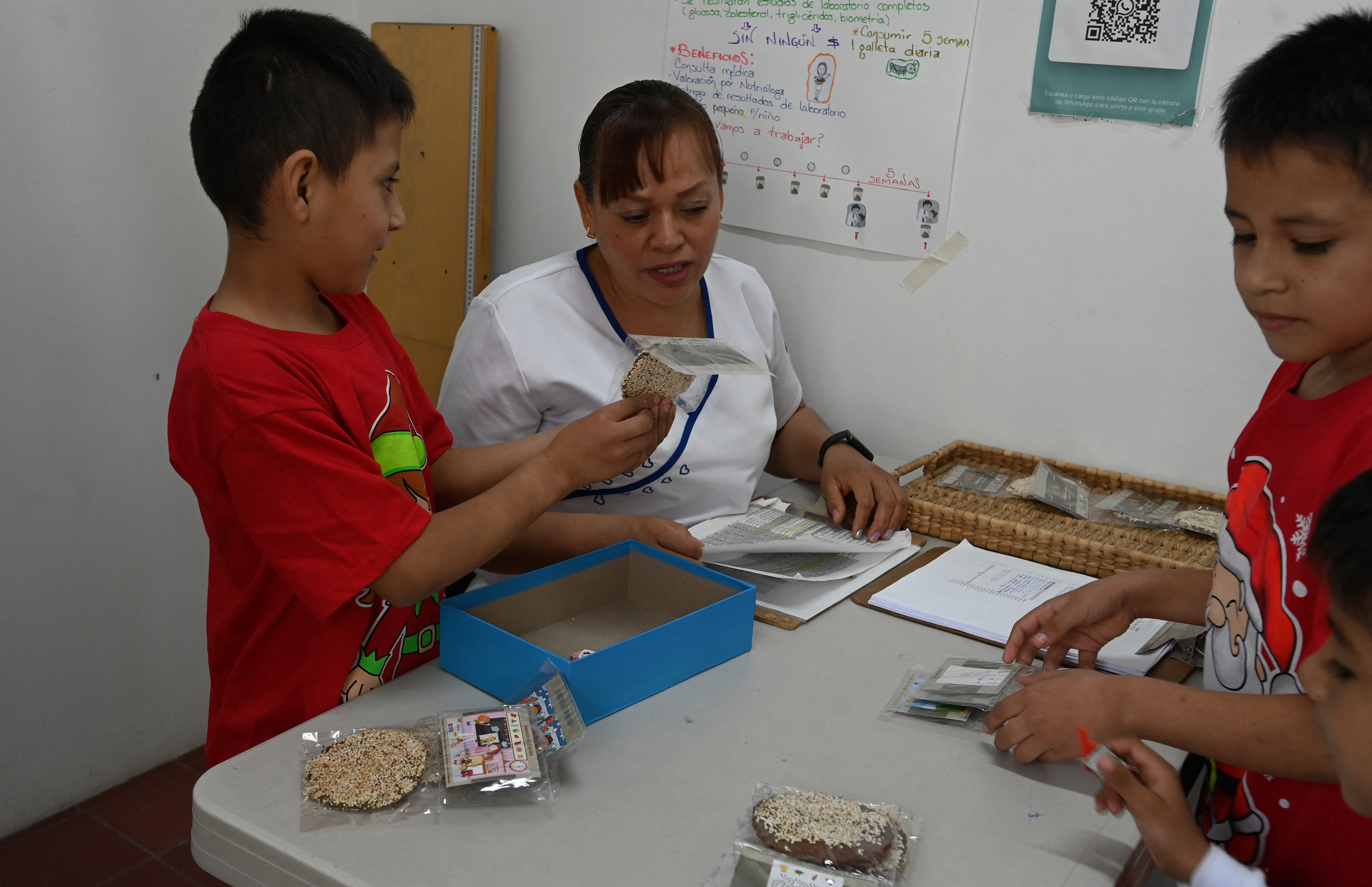 Consumir saltamontes, la alternativa a desnutrición infantil en México