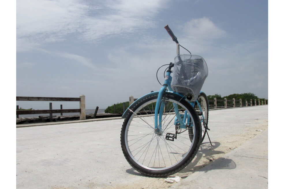 El veci desponcha bicicletas (Cuentos de mochila)