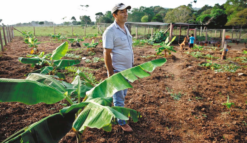 Formalización de tierras, un camino contra la siembra de coca