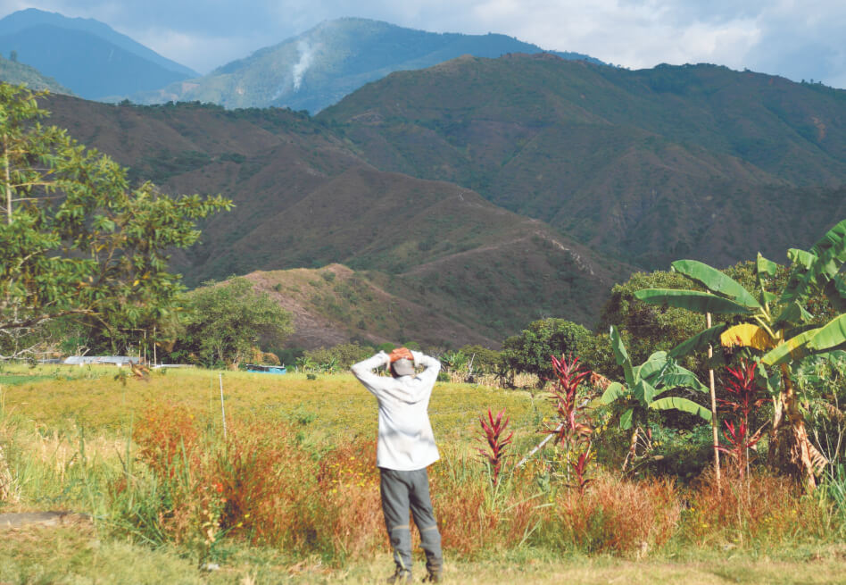 Miranda (Cauca), la reincorporación de las Farc en medio de las balas