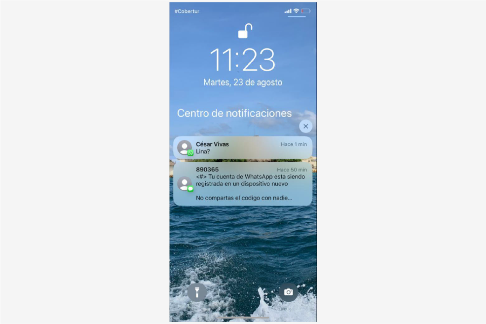 Mensaje enviado por Cesar Vivas a Lina Rezk por redes sociales.