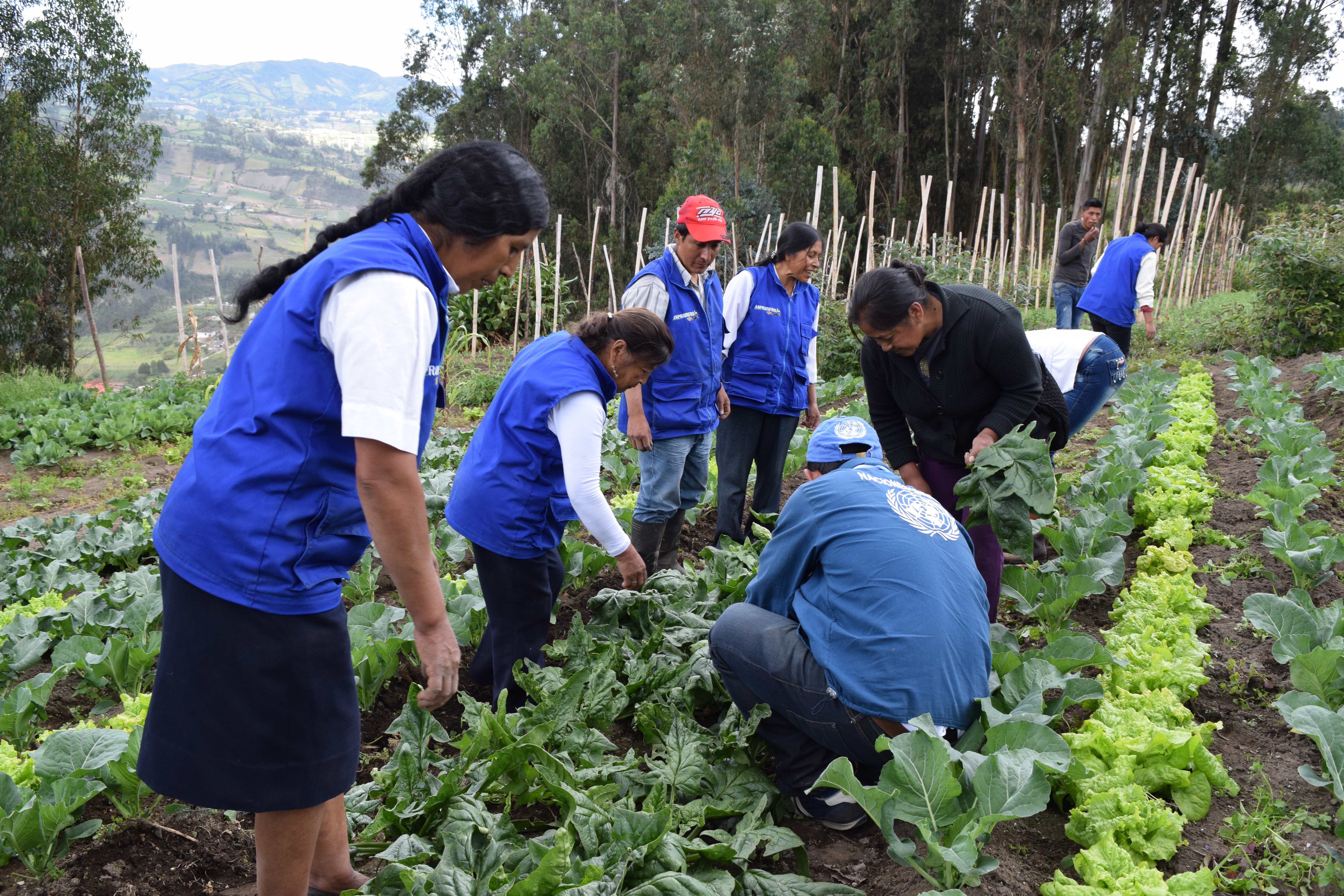 Nuevas guías ambientales para el bienestar del campo colombiano