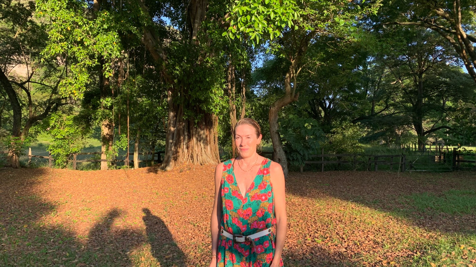 Contemplar lo salvaje, la “liternatura” y Sara Jaramillo Klinkert