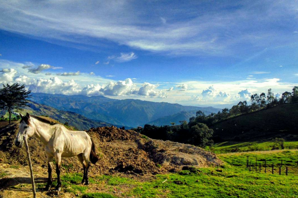 Turismo Sostenible, la clave para el futuro de las regiones