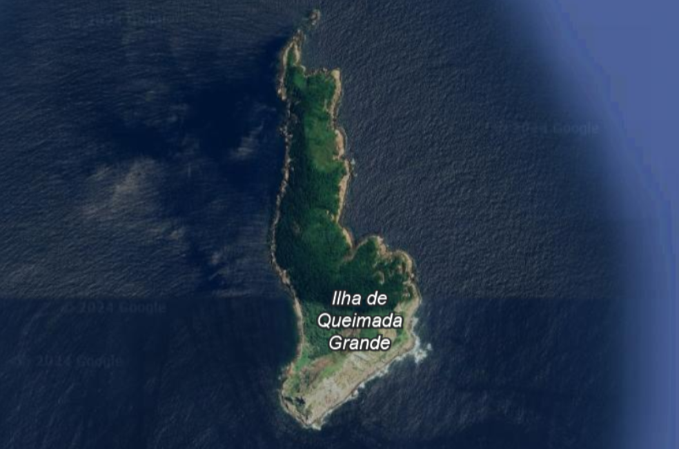 Así es la Isla de las Cobras, el lugar al que está prohibido entrar