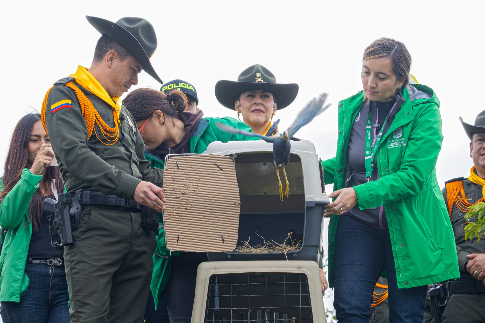Liberan ocho aves migratorias en el humedal El Tunjo durante el Día Mundial de los Humedales