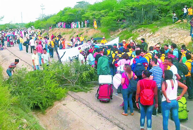 En varias regiones  se han presentado bloqueos a las vías por parte de los campesinos. / Cortesía