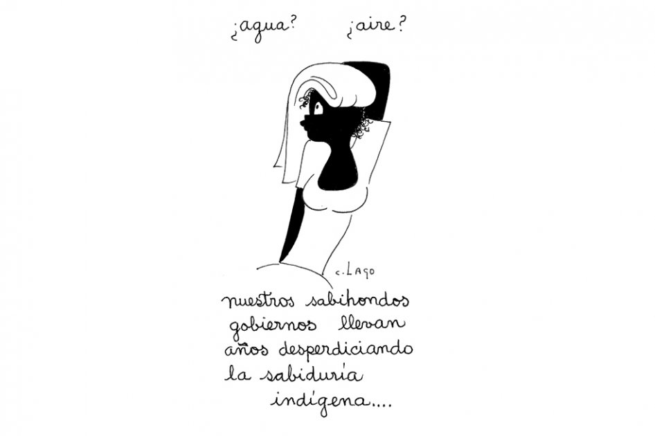 Sabiduría indígena