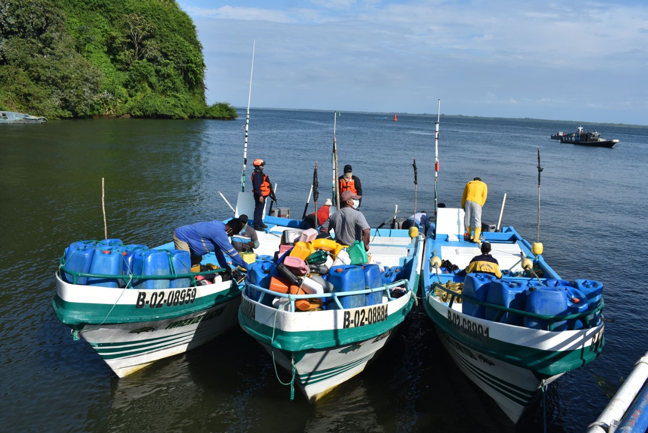 Incautaron 15 tiburones pescados ilegalmente en el Pacífico nariñense