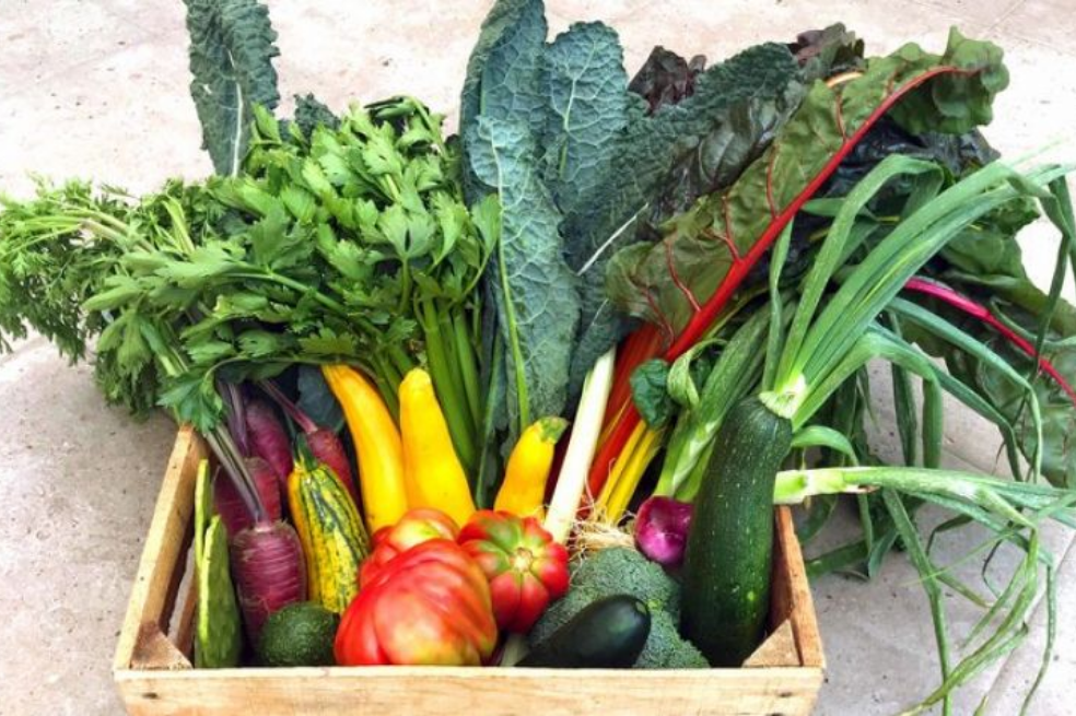 La Trocha: productos amigables con el medio ambiente, de la tierra al plato
