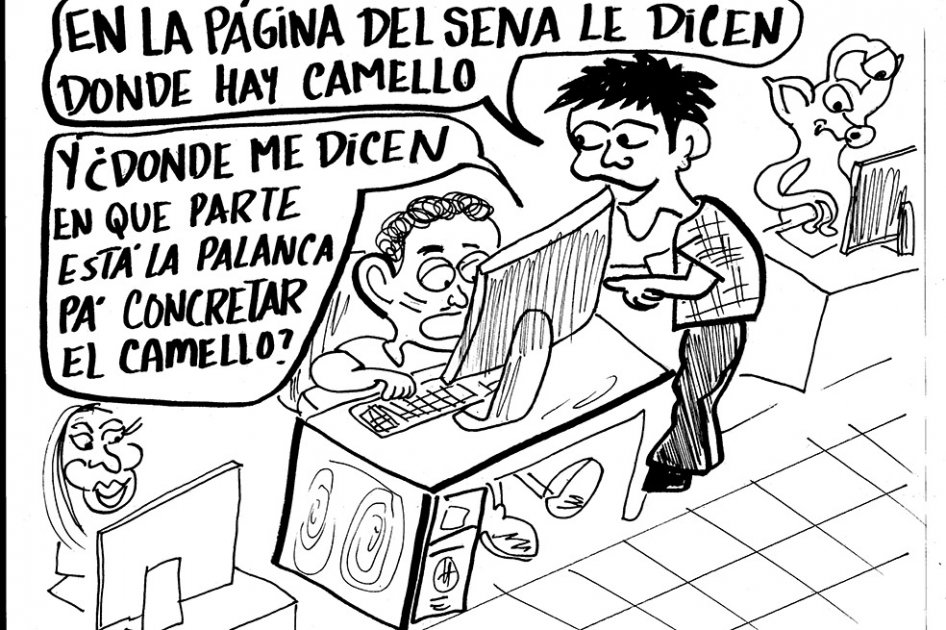 Camello sí hay