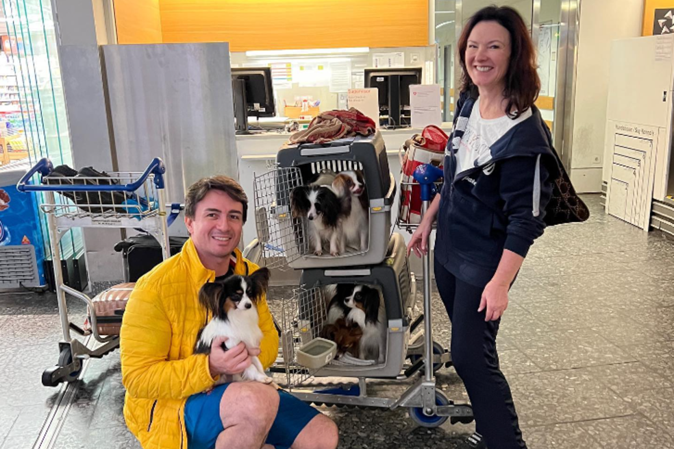 Después del desespero, aerolínea encontró a perros perdidos en un aeropuerto