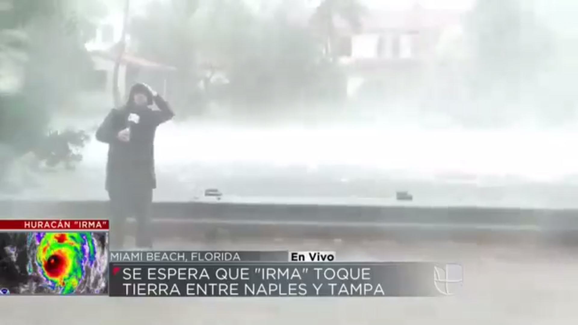 Javier Olivares, periodista de Univision, cubriendo la tormenta en vivo y en directo/ Univision