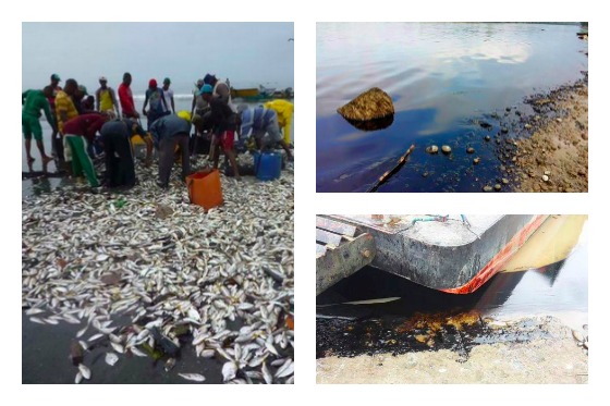 Las devastadoras imágenes del daño ambiental en el río Mira en Tumaco