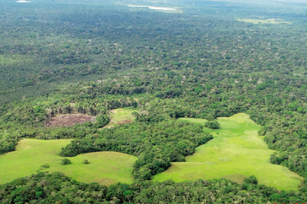 Compañía de carne JBS vinculada con masacre en Amazonas