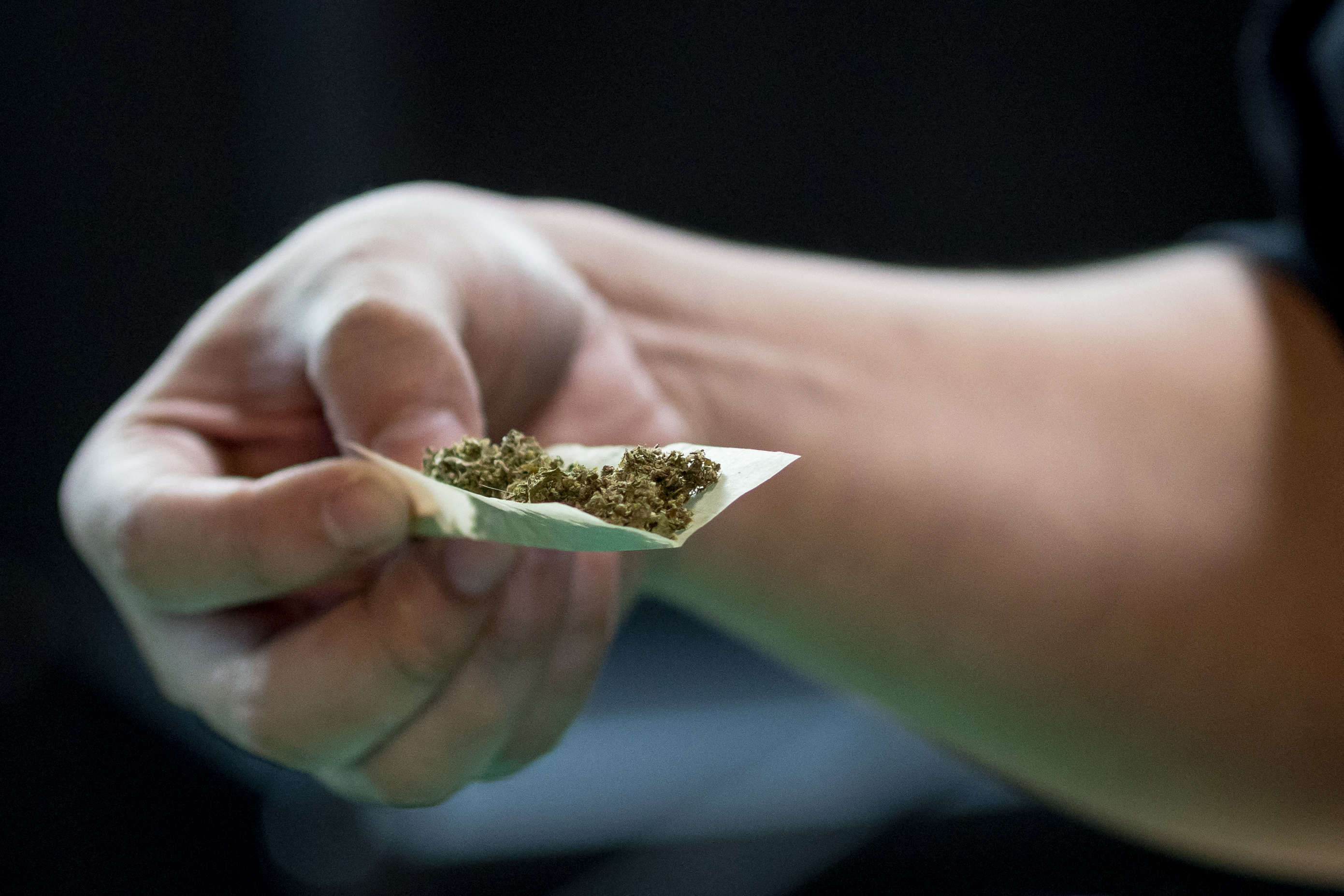 Regulación del cannabis de uso adulto, a dos debates de convertirse en ley