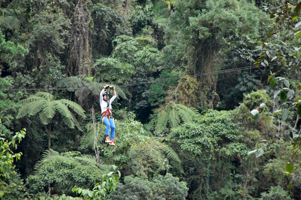 Mincomercio avala desarrollo de dos proyectos turísticos en Quindío y Atlántico