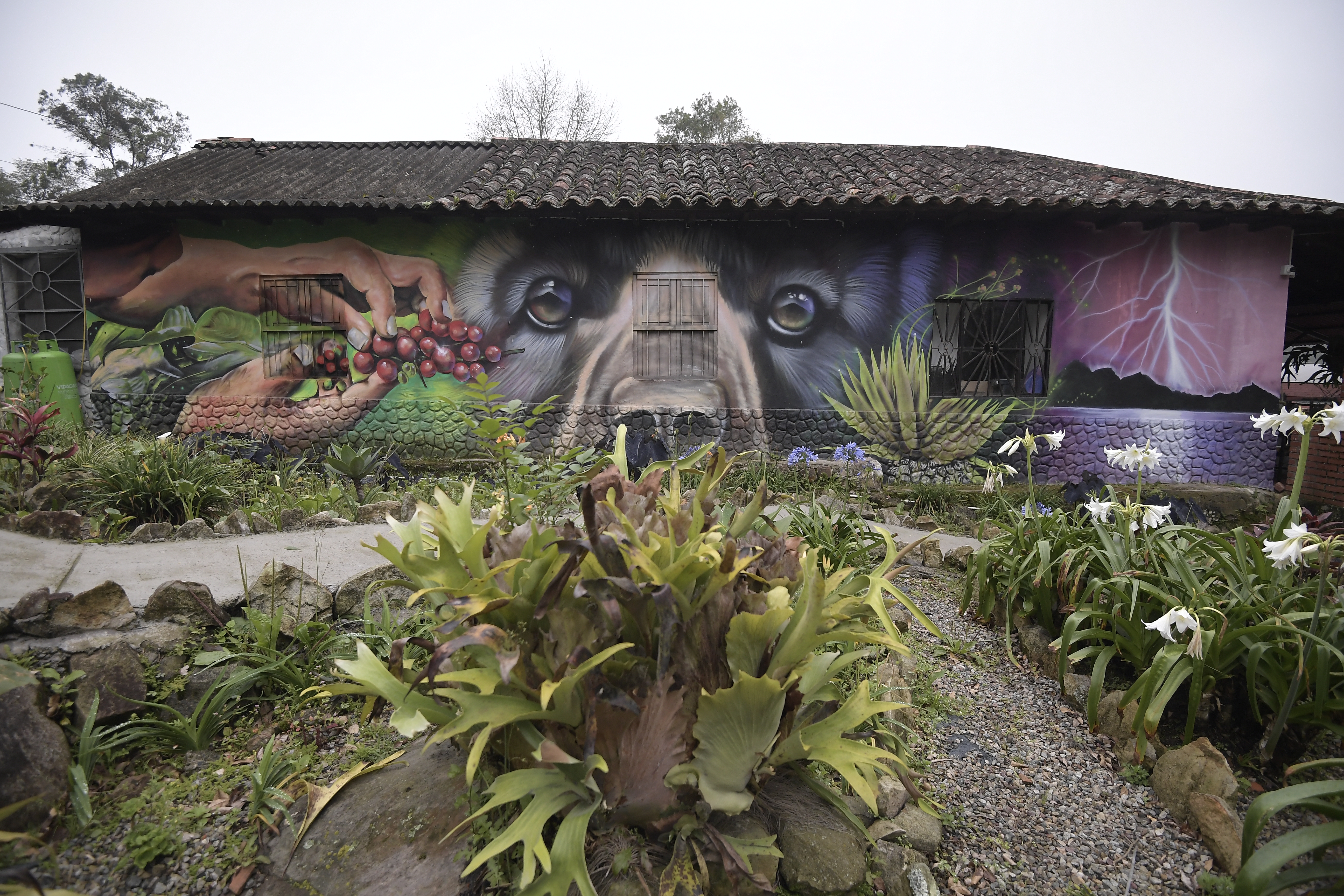 Murales o grafitis en este municipio del Norte de Santander.