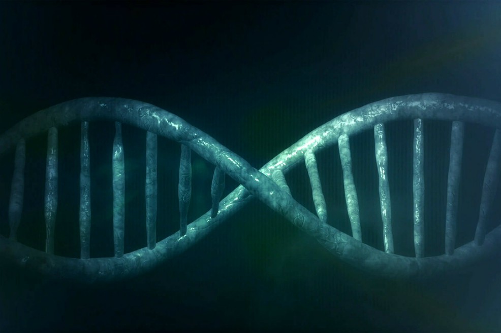 La genealogía genética aclara un crimen en EEUU