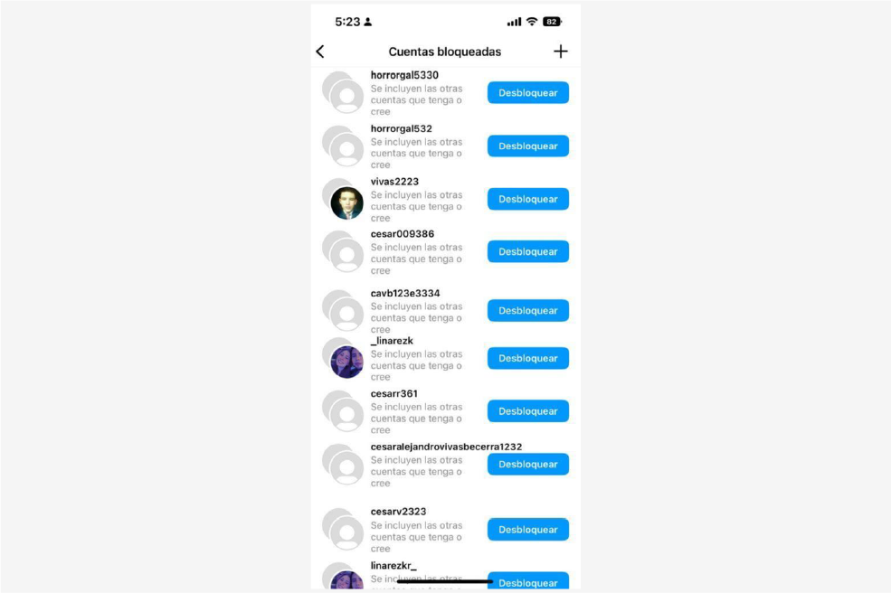 Listado de perfiles que creó Cesar Vivas en Instagram para acosar a Lina Rezk.