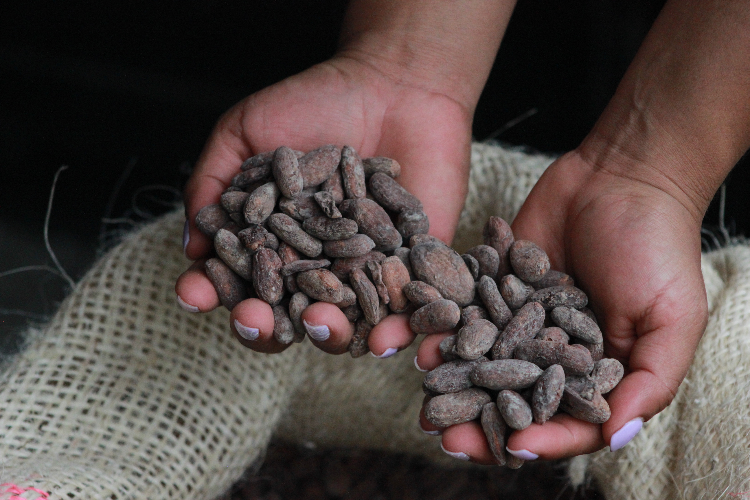 Con innovaciones avanzan hacia sistemas agroalimentarios y economías de base biológica