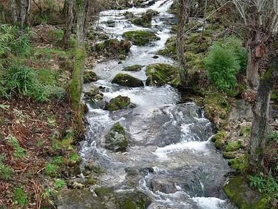 La ruta de senderismo GR 20 en Córcega está gestionada por el Parque Natural Regional de Córcega (Parc Naturel Régional de Corse). Esta entidad es responsable de la administración y mantenimiento de la ruta, así como de la gestión de las reservas para los refugios a lo largo del recorrido.