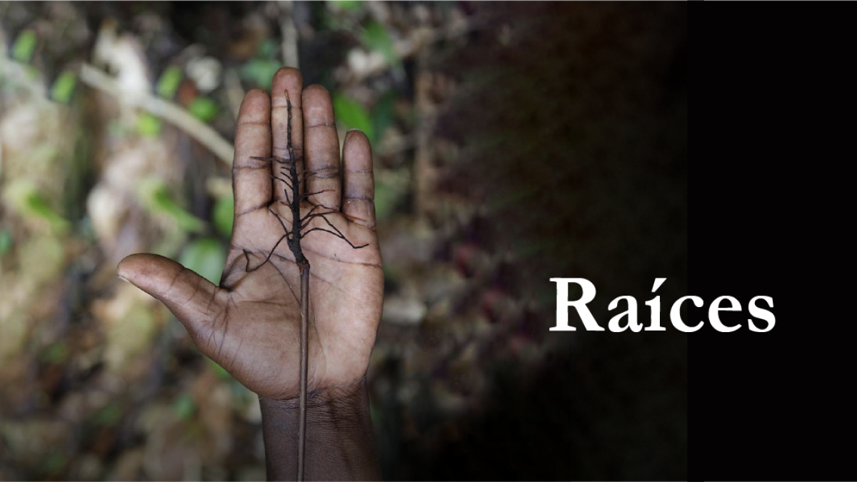 Raíces: una forma de apoyo para organizaciones afro e indígenas en temas de paz
