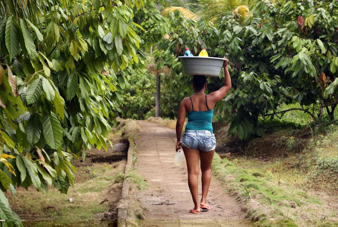 Admiten acción de tutela por disminución de censo de población afro en 2018
