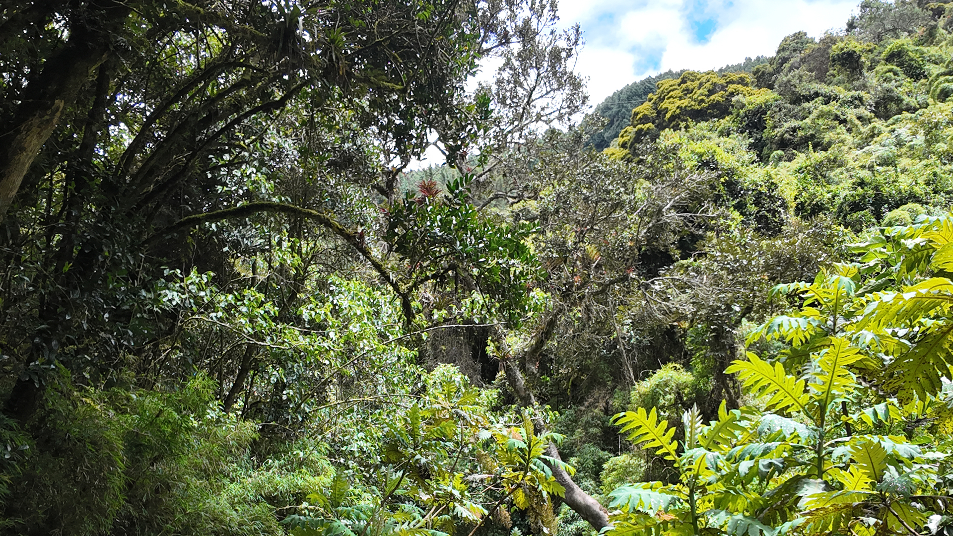 Cinco recomendaciones clave para disfrutar el sendero La Aguadora