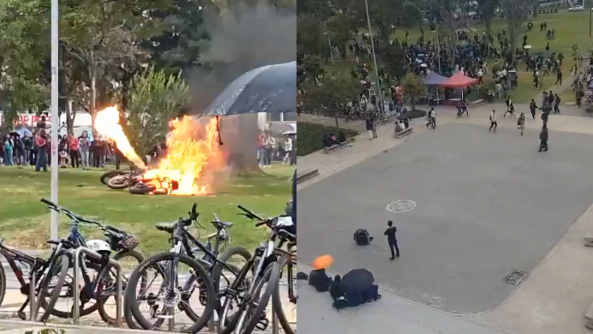 Disturbios en la Nacional generan cruce de versiones entre directivas y vigilancia