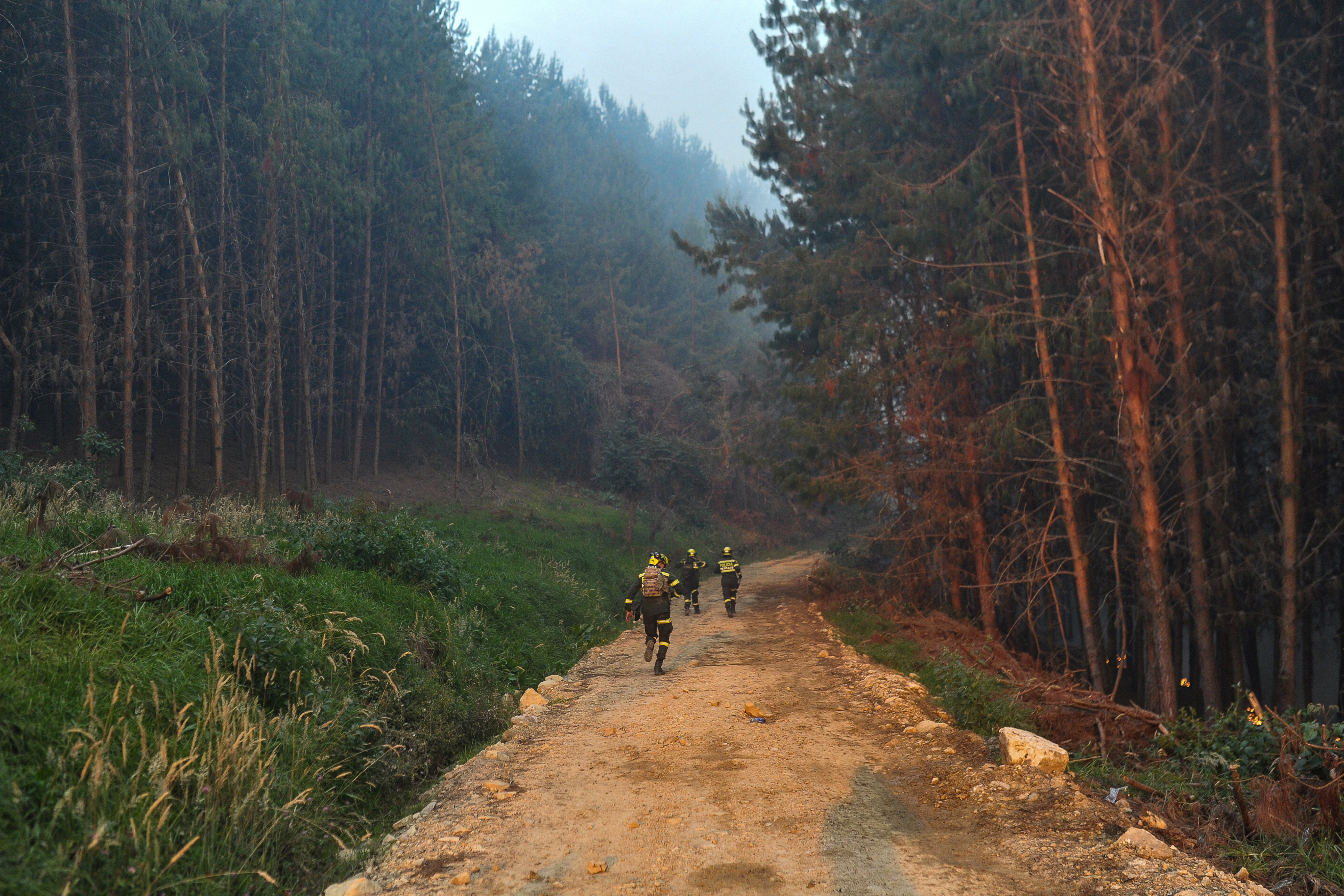 Impulsan prácticas agrícolas en Cundinamarca ante escalada de incendios forestales