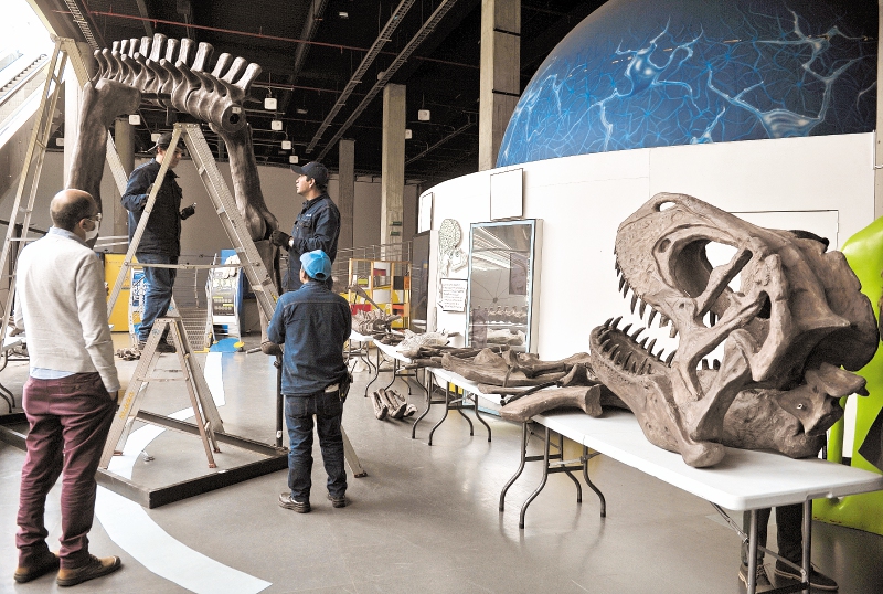 Maloka inaugura el dinosaurio que regaló Rodolfo Llinás