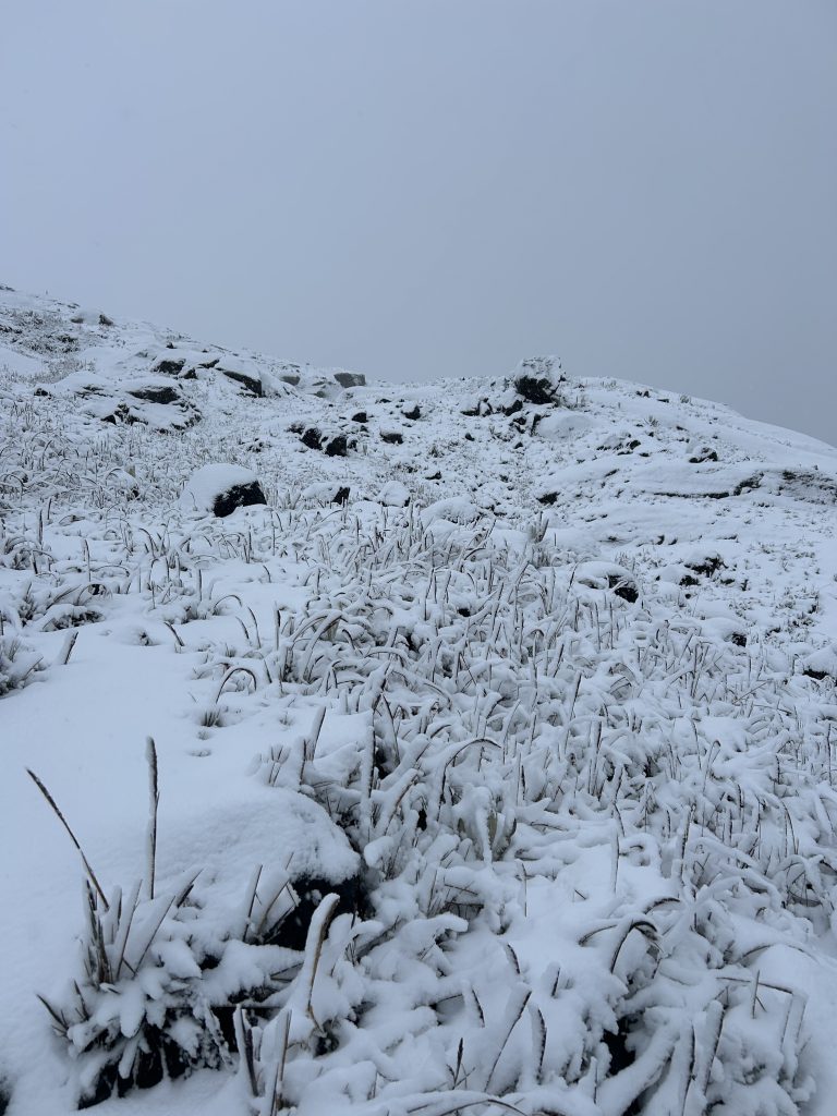 La nieve cubrió el volcán Nevado del Ruiz, el Nevado de Santa Isabel, el Paramillo del Cisne y el Paramillo de Santa Rosa, de acuerdo con la información de la entidad.