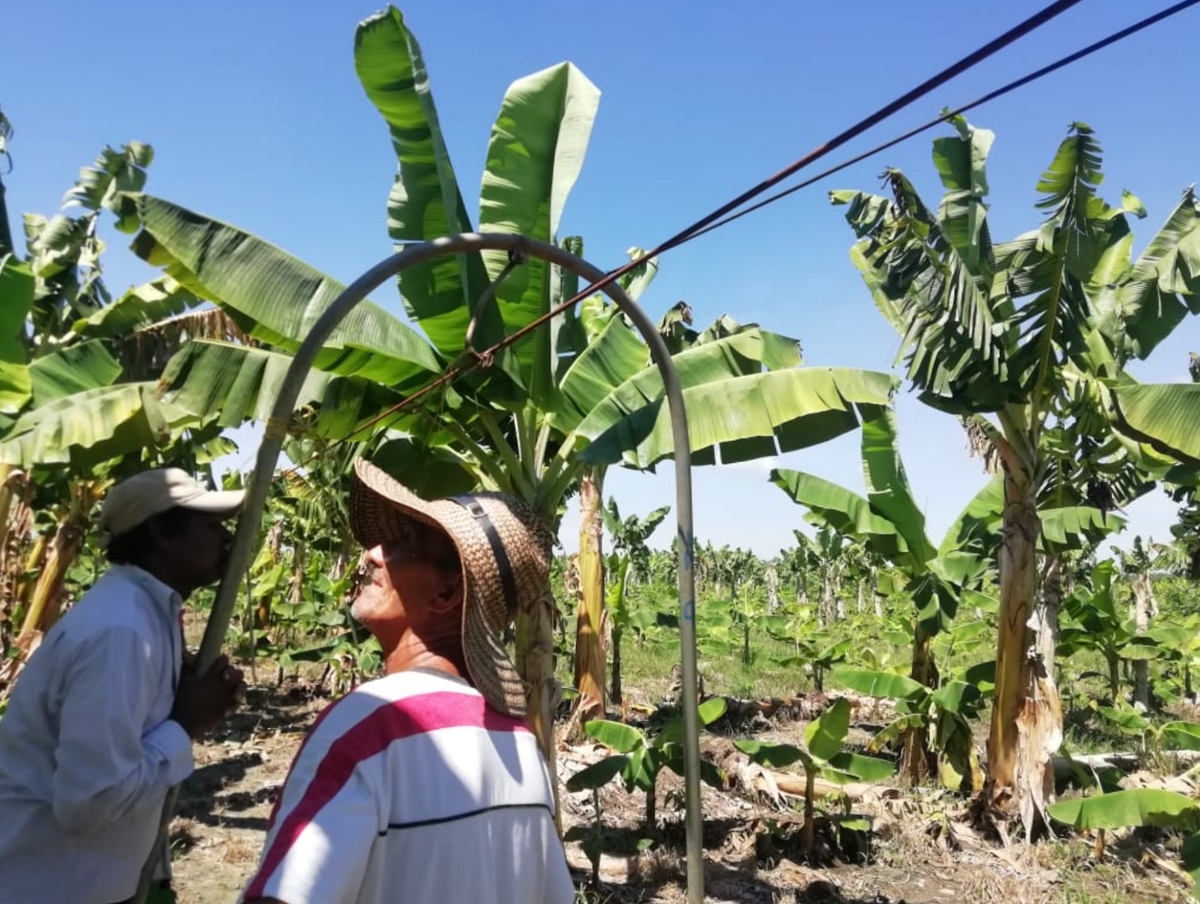 La lucha de comunidad de Las Franciscas por la restitución de su tierra despojada